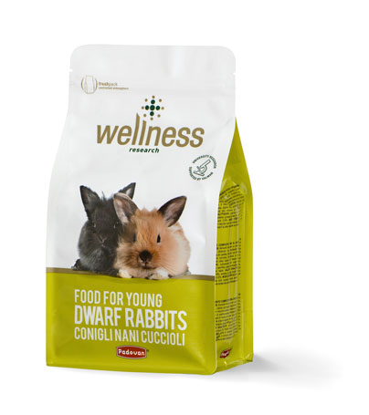 Wellness young dwarf rabbits Online Hot Sale