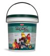 Tropical Pâtée 5kg on Sale