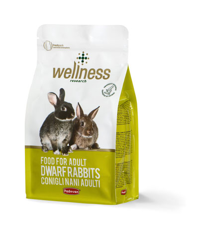 Wellness adult dwarf rabbits Fashion