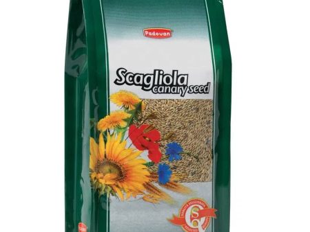 Canary Seed (Scagliola) 1kg on Sale