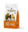 Wellness Paté for Small Birds Hot on Sale