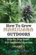 How to Grow Marijuana Outdoors: Step-By-Step Guide for Successful Harvest For Discount