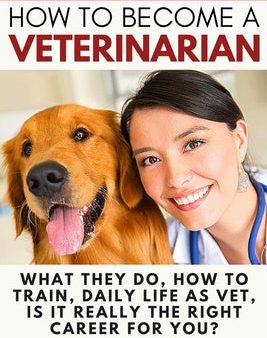 How to Become a Veterinarian: What They Do, How To Train, Daily Life As Vet, Is It Really The Right Career For You? Online