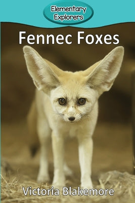 Fennec Foxes on Sale