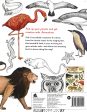 Animalium Colouring Book Sale