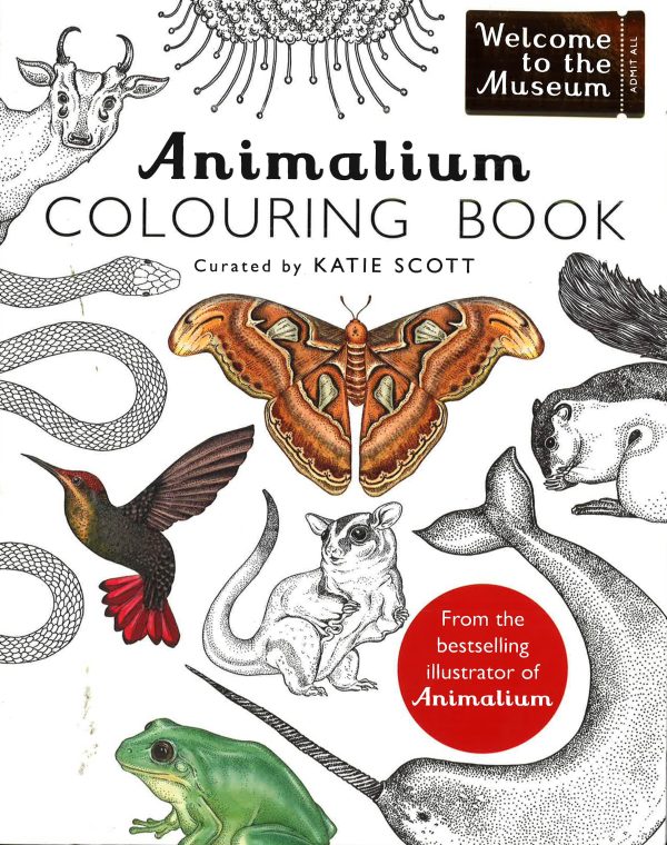 Animalium Colouring Book Sale